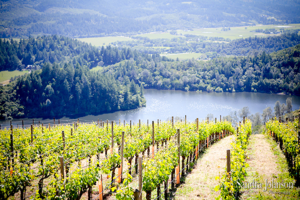 Best Napa Valley Wedding Photos - Sandra Johnson (SJFoto.com)